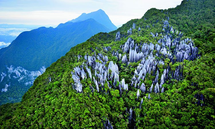 Gunung Mulu National Park