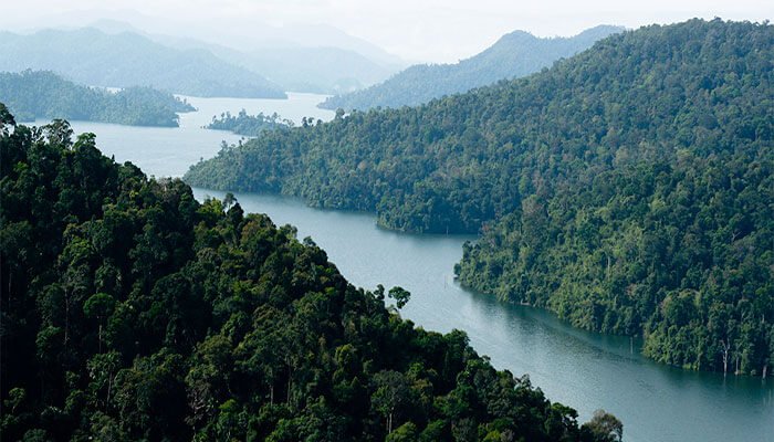 Taman Negara