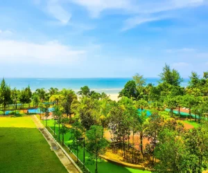 Green Tree Image | Places For Stay in Malaysia | eVisa Malaysia