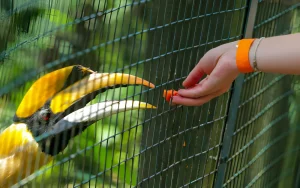 KL Bird Park Image | Best Things to do in Kuala Lumpur | Malaysia Online Visa