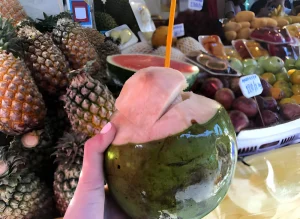 Coconut Image | Malaysia Port Klang Tour | Malaysia Online Visa